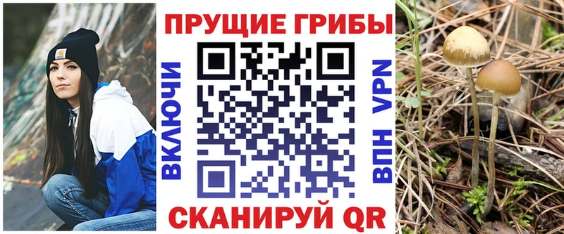Псилоцибиновые грибы Cubensis  наркота  Красный Кут 